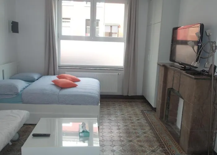 Maison Lydie - Meublé De 3 étoiles * Charleroi